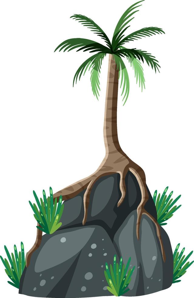 Palm tree on rock isolated vector