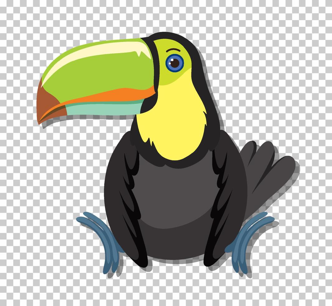 Cute toucan bird in flat cartoon style vector