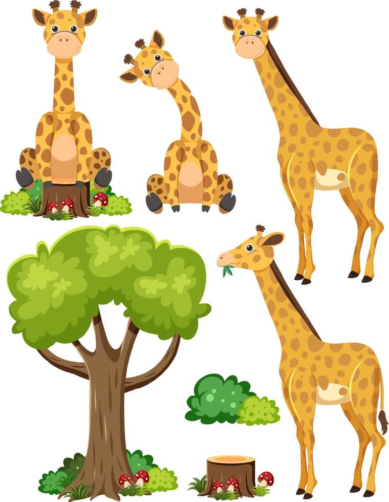 Wild animals set with nature elements vector