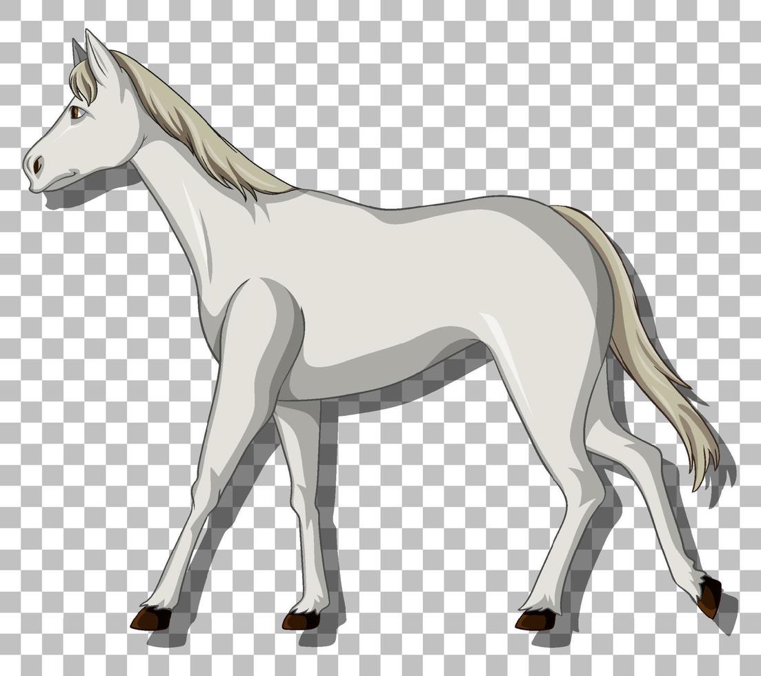 caballo blanco sobre fondo de cuadrícula vector