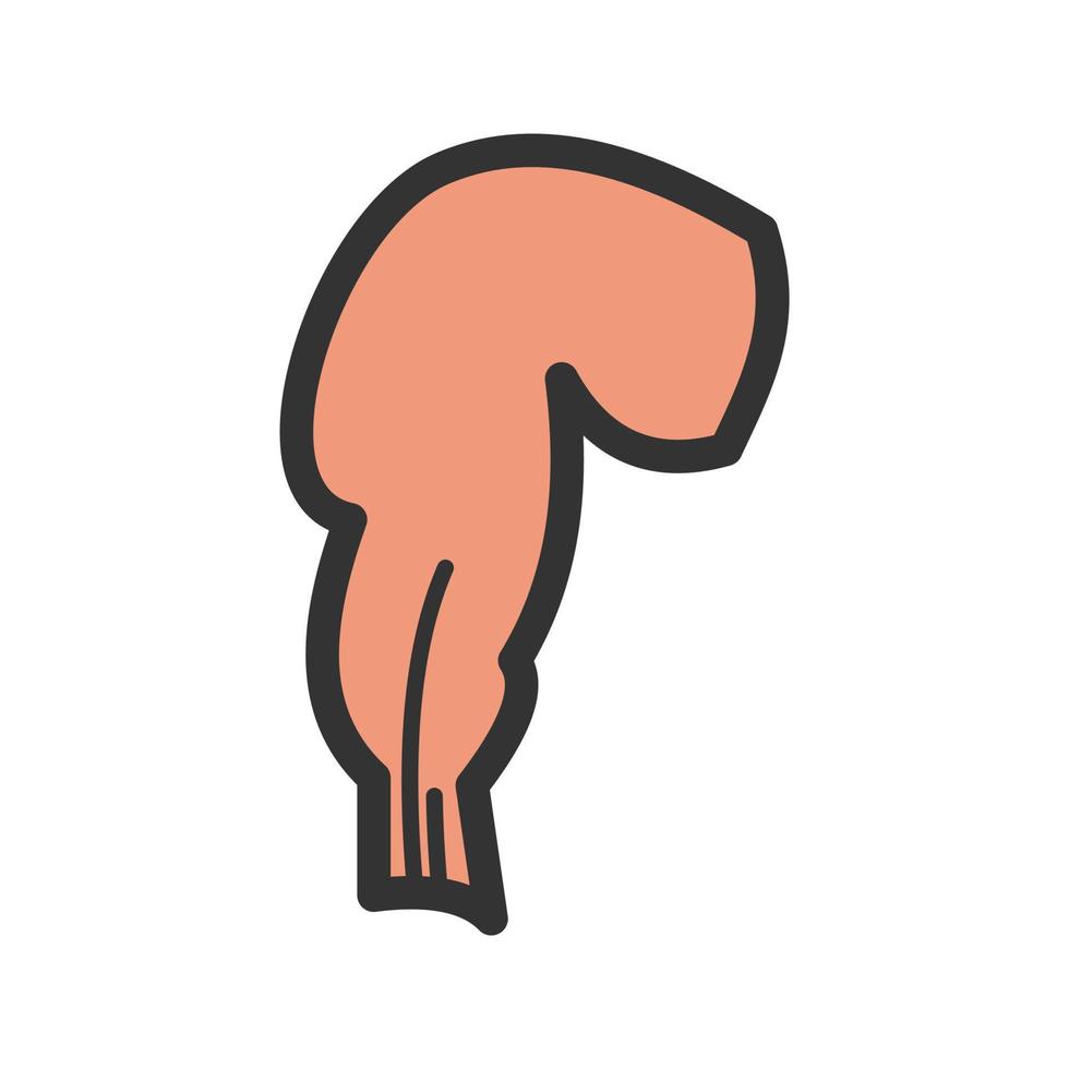 Rectum Filled Line Icon vector