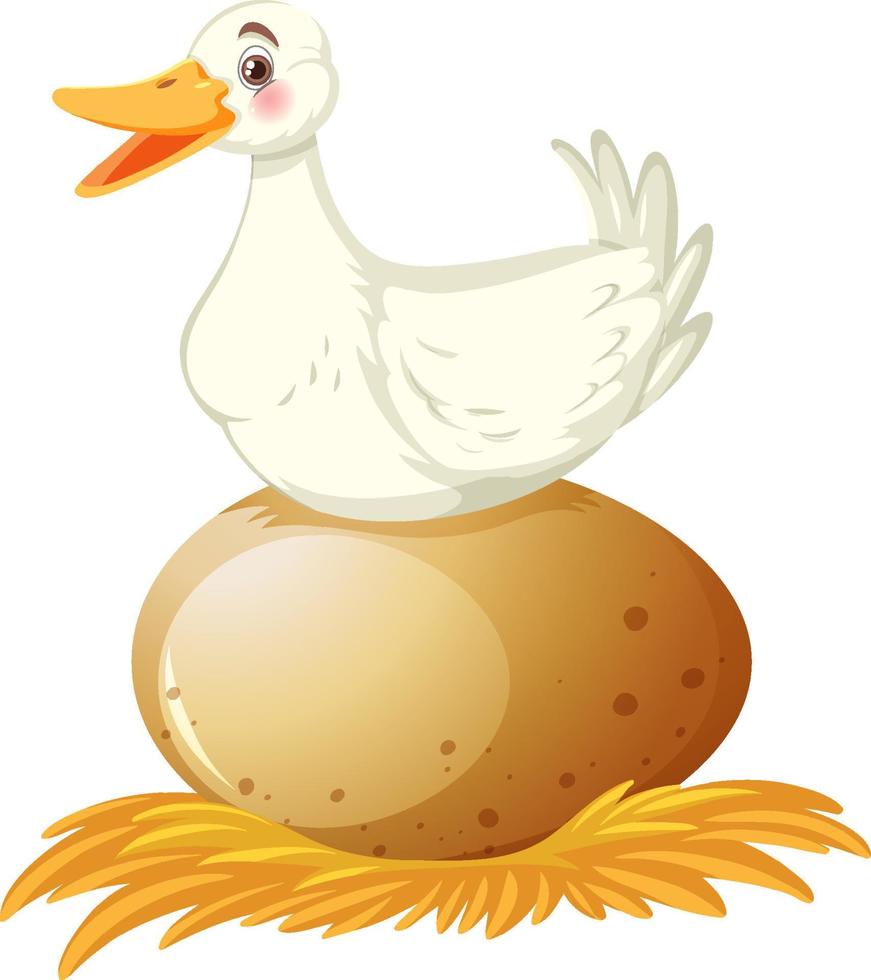 Sunny Side Up Egg Vector Illustration Stock Vector - Illustration of  poultry, duck: 49382979