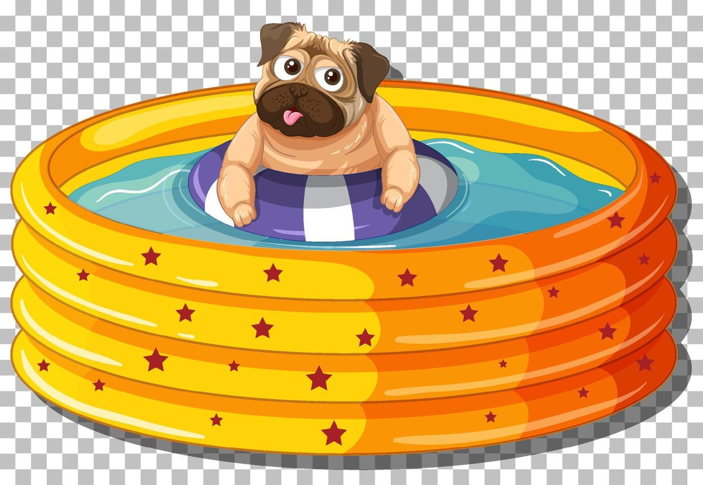 perro pug en piscina inflable vector