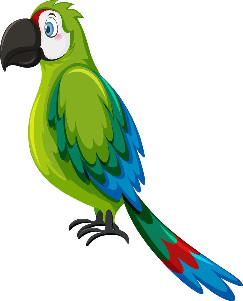 pájaro loro en estilo de dibujos animados vector