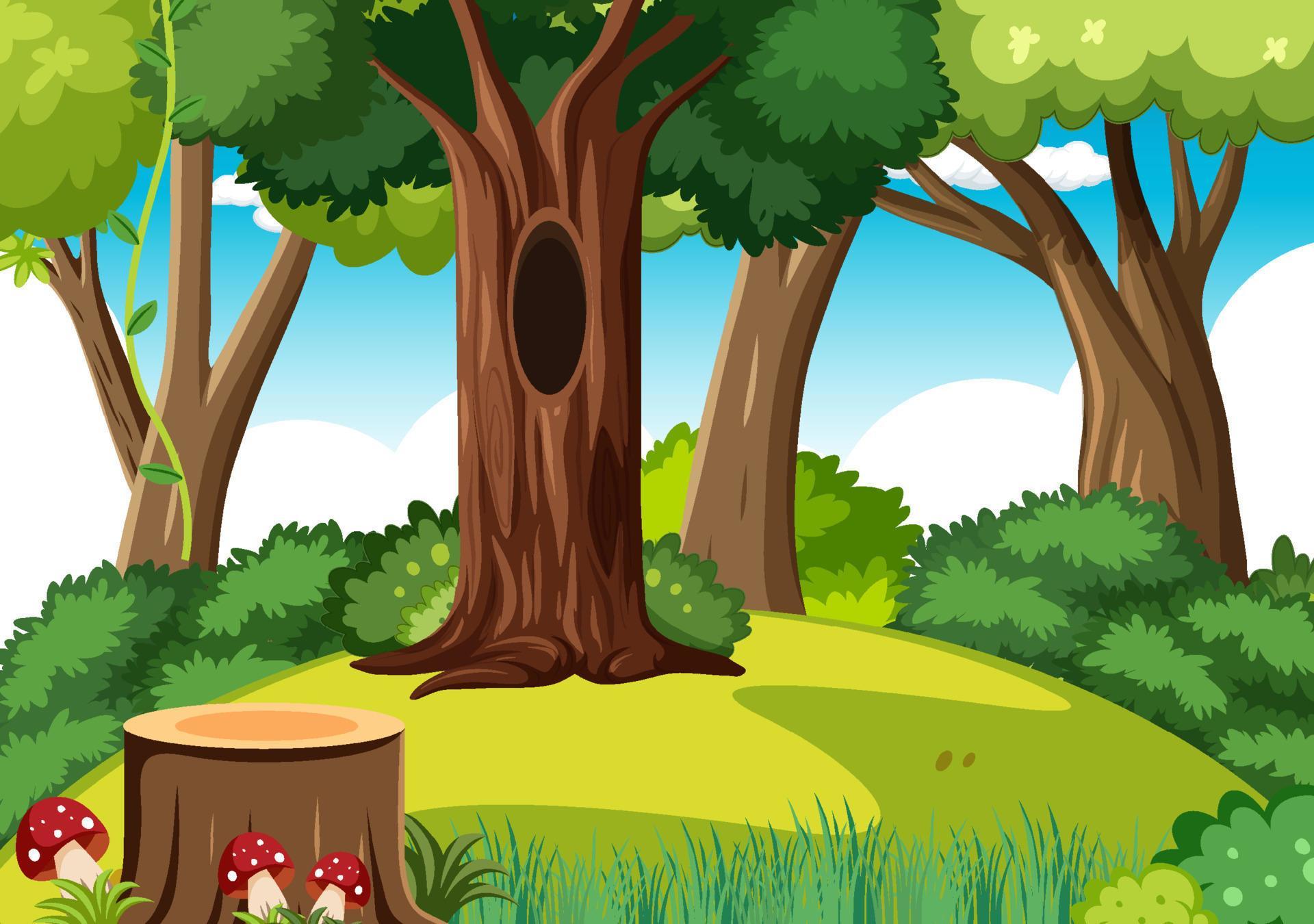 Nature forest background template 8619337 Vector Art at Vecteezy Nature forest background template 8619337 Vector Art at Vecteezy
