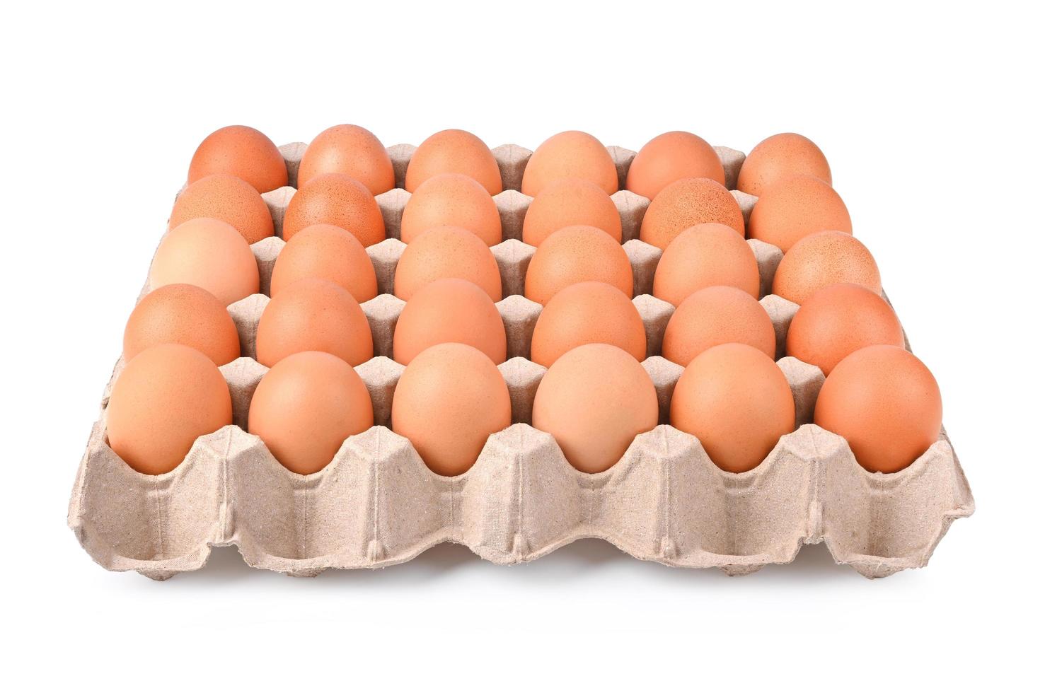 Eggs in packaging isolated on white background. photo