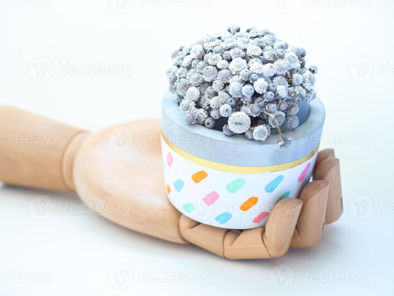 Colorful planters with white flowers on wooden hand photo