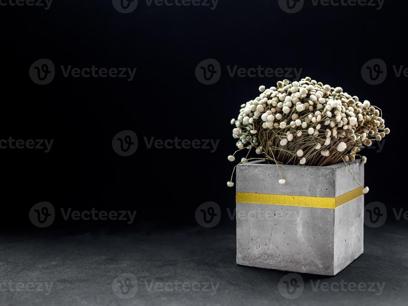Modern cubic concrete planter with vintage flower. Painted concrete pot for home decoration photo