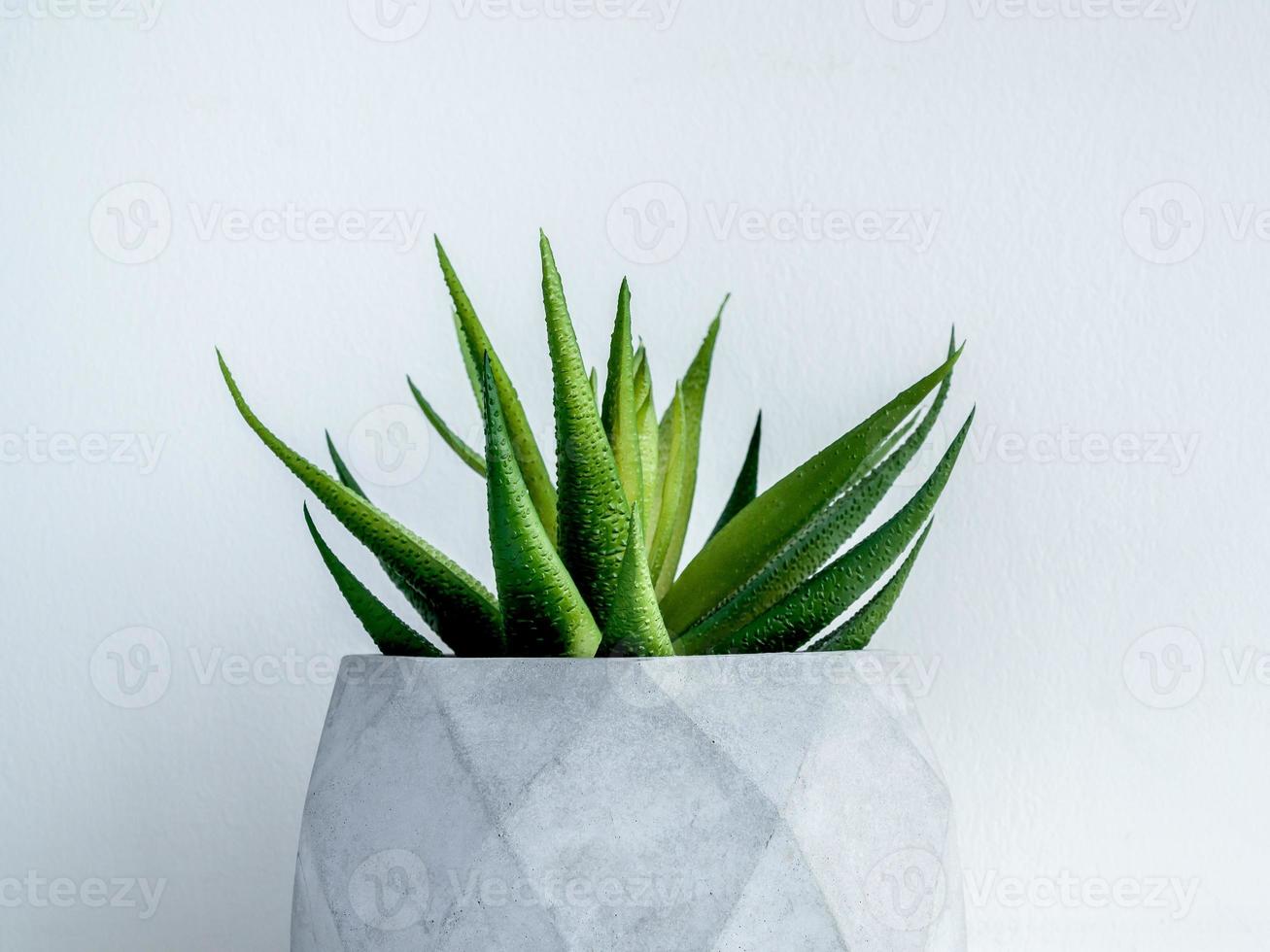 Concrete pot. Modern geometric concrete planter. photo