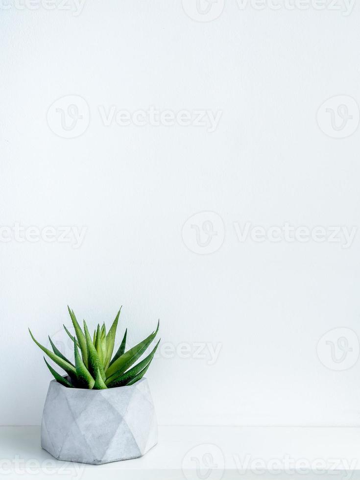 Concrete pot. Modern geometric concrete planter. photo