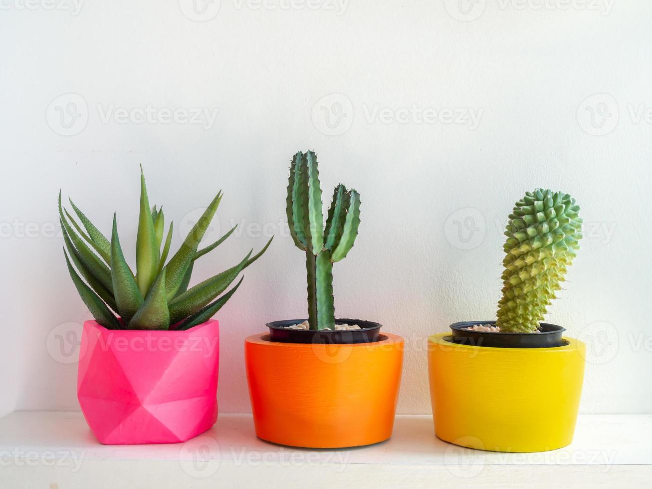 Beautiful various geometric concrete planters with cactus, flower and succulent plant. Colorful painted concrete pots for home decoration photo