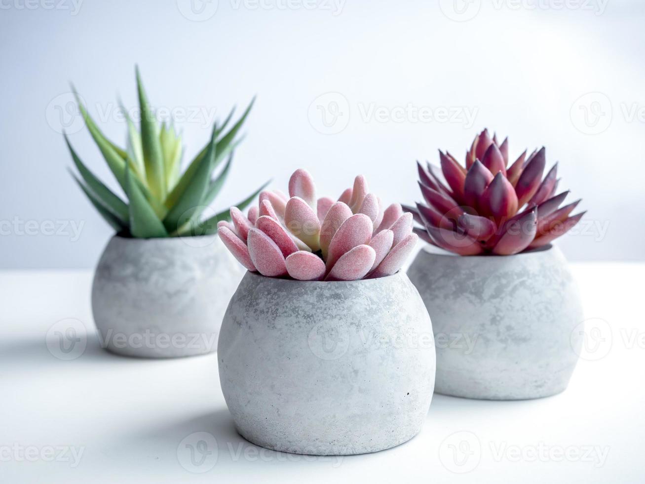 Concrete pot. Modern geometric concrete planter. photo