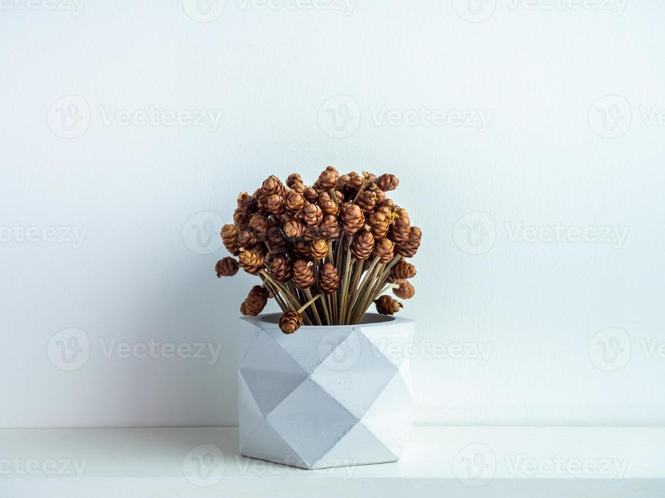 Concrete pot. Modern geometric concrete planter. photo