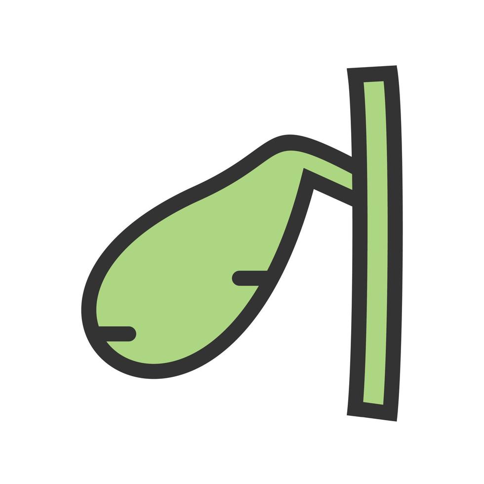 Gallbladder Filled Line Icon vector