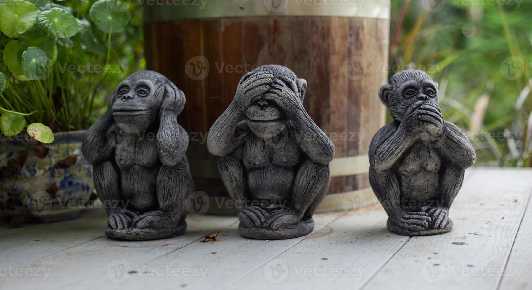 The three wise monkey three mystic apes see no evil hear no evil speak no evil photo