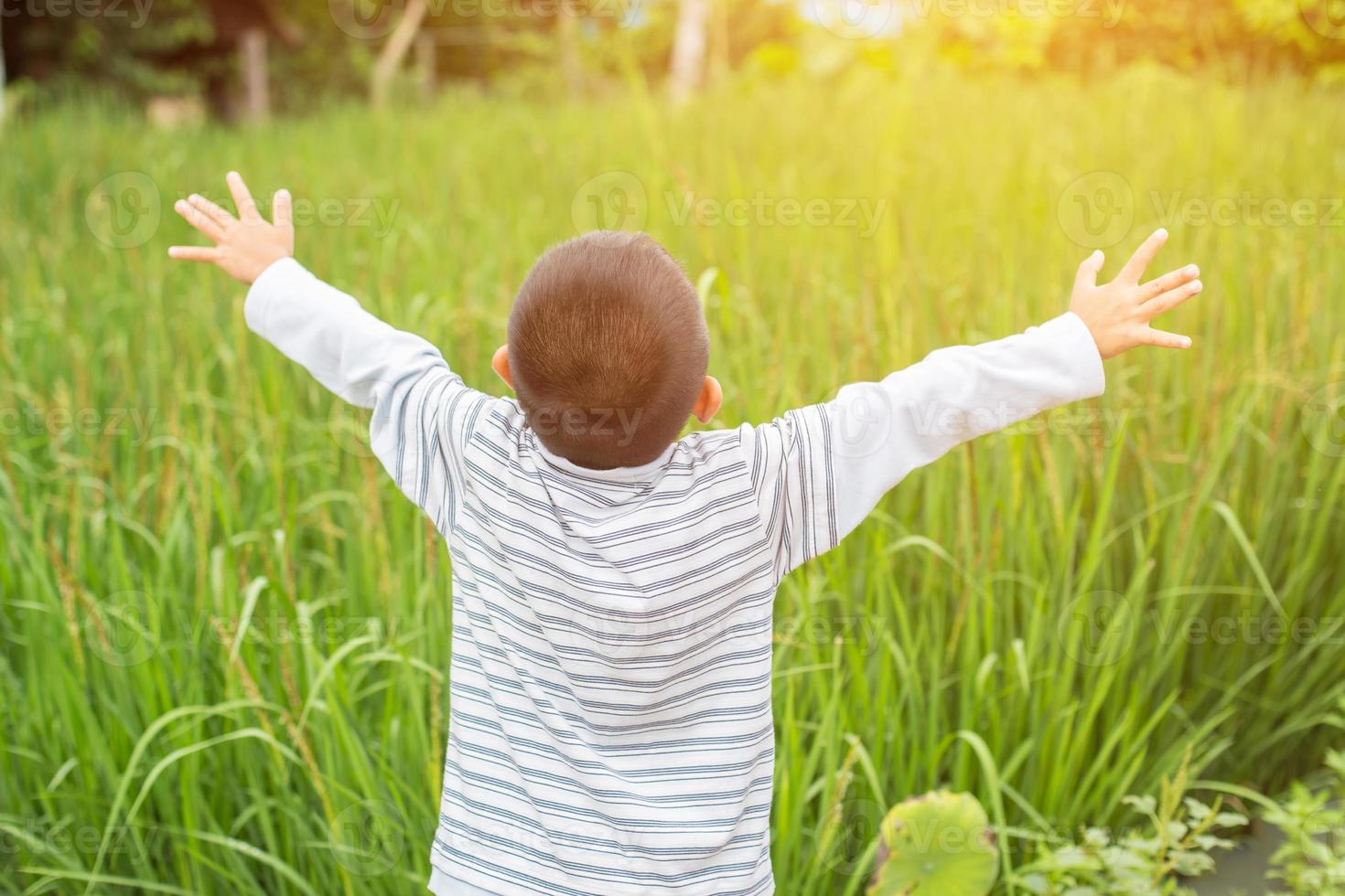 Little boy on a wheat field in the sunlight enjoying nature. Kid Raising hands over sunset sky background. Fresh air, environment concept photo