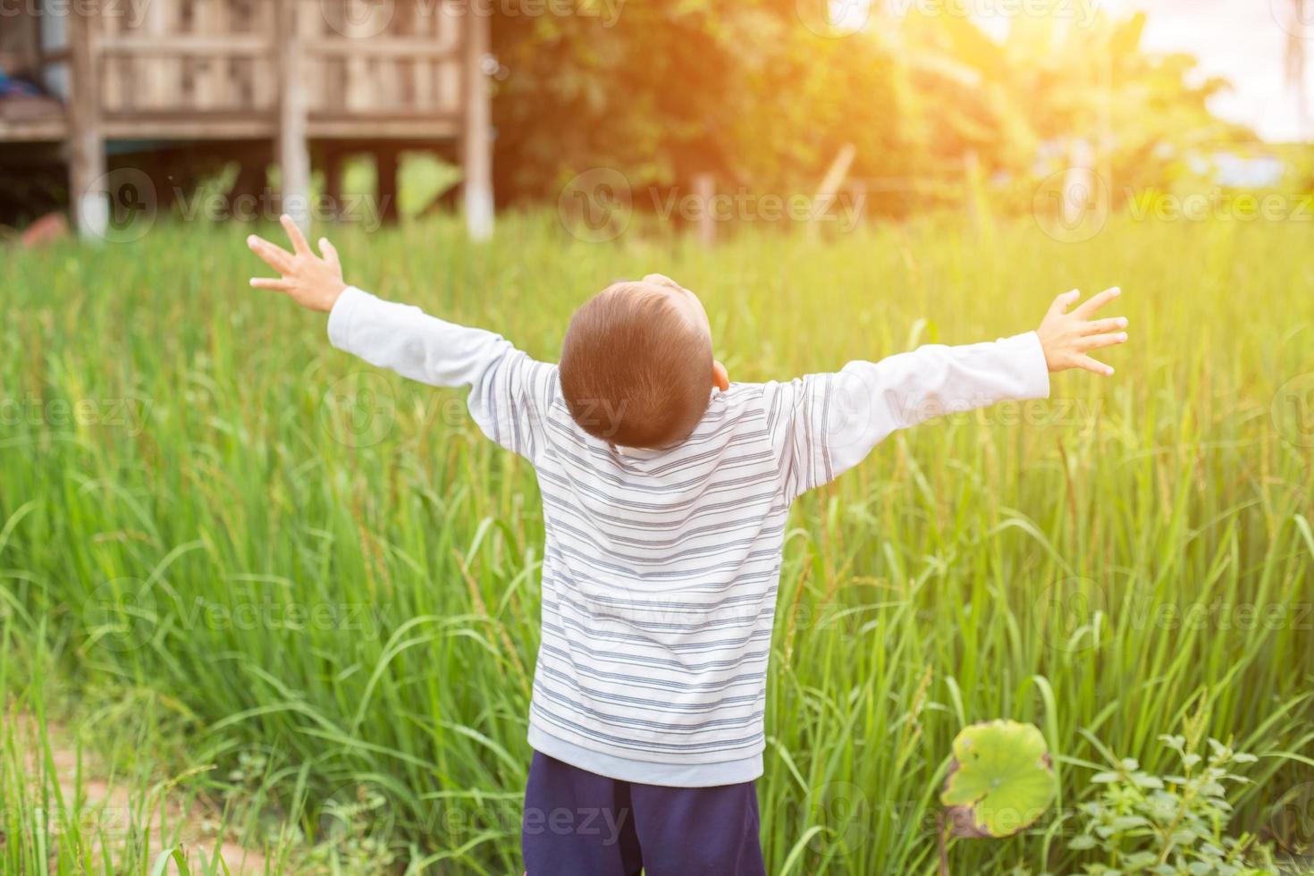 Little boy on a wheat field in the sunlight enjoying nature. Kid Raising hands over sunset sky background. Fresh air, environment concept photo