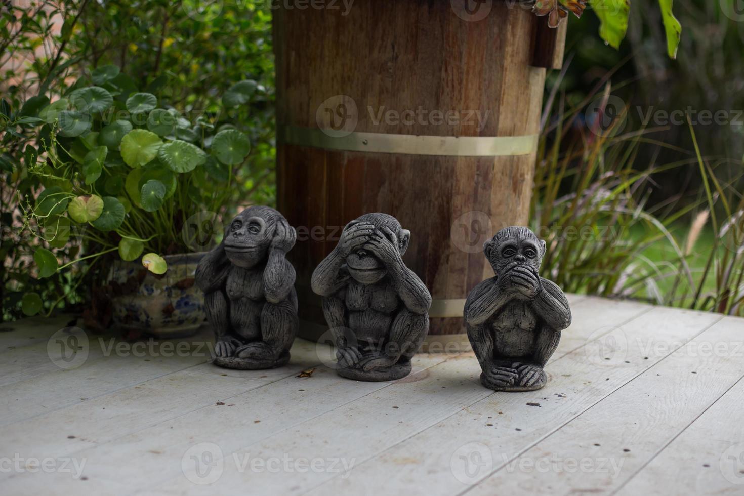 The three wise monkey three mystic apes see no evil hear no evil speak no evil photo