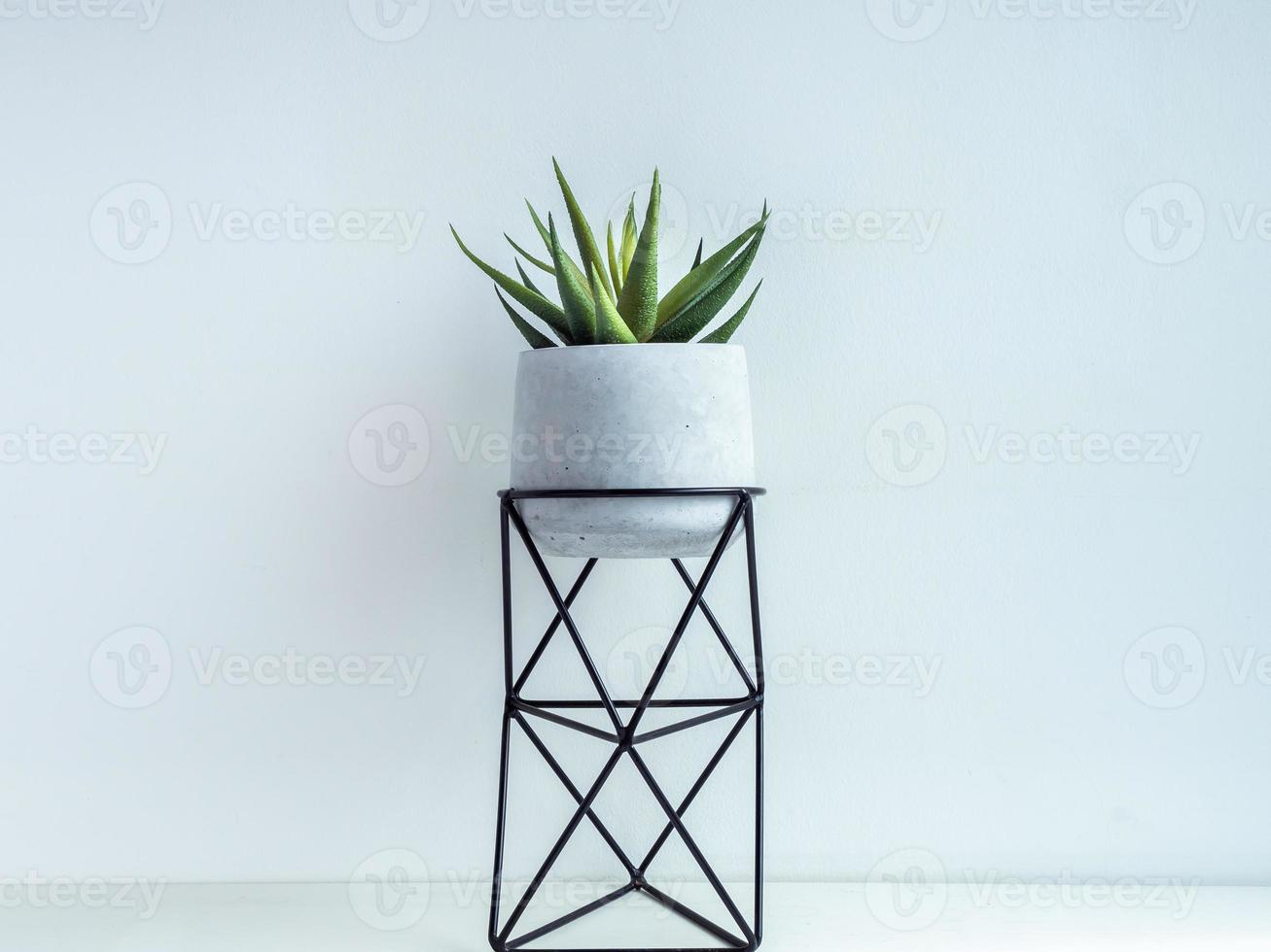 Cactus pot. Concrete pot. Modern geometric concrete planter. photo
