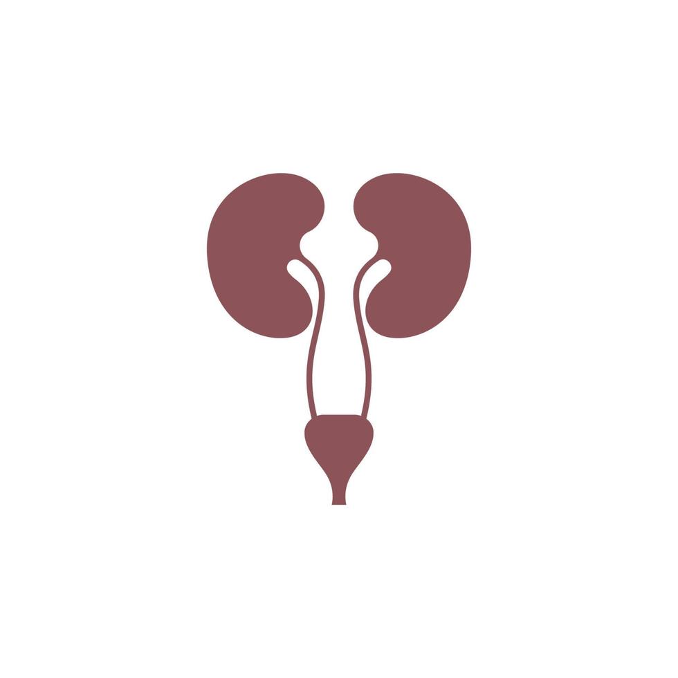 Kidney icon logo design template vector