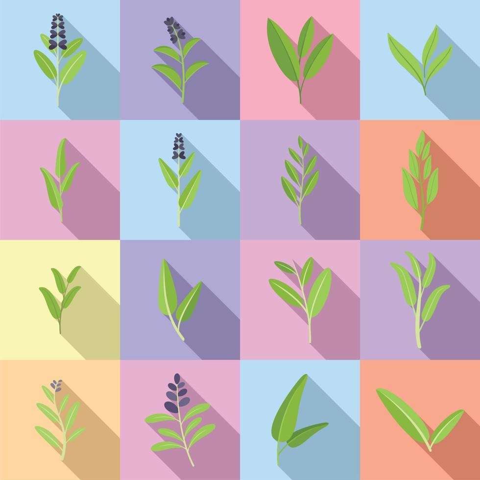 Sage icons set flat vector. Flower leaf vector