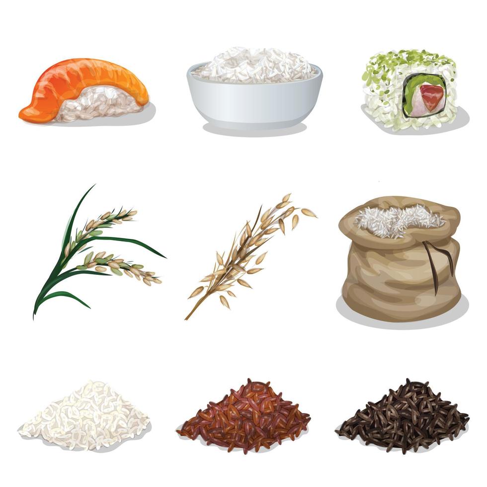 conjunto de iconos de arroz vector de dibujos animados. harina saludable 8624810 Vector en Vecteezy conjunto de iconos de arroz vector de dibujos animados. harina saludable 8624810 Vector en Vecteezy