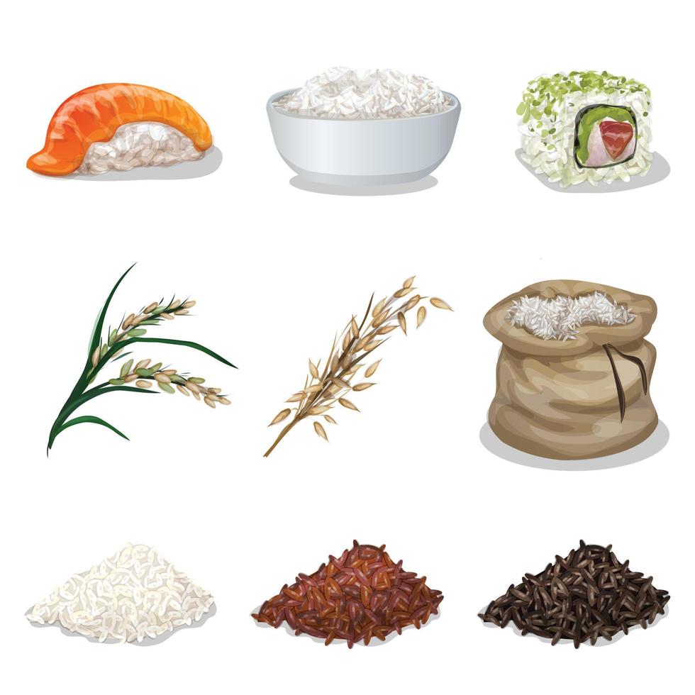 Rice icons set cartoon vector. Healthy flour vector