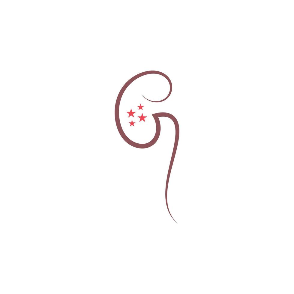 Kidney icon logo design template vector