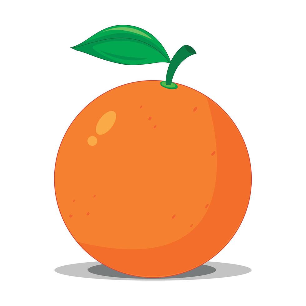 vector de fruta naranja sobre fondo blanco