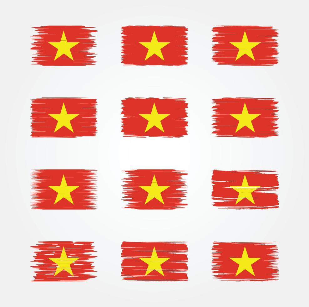 Vietnam Flag Brush Collections. National Flag vector
