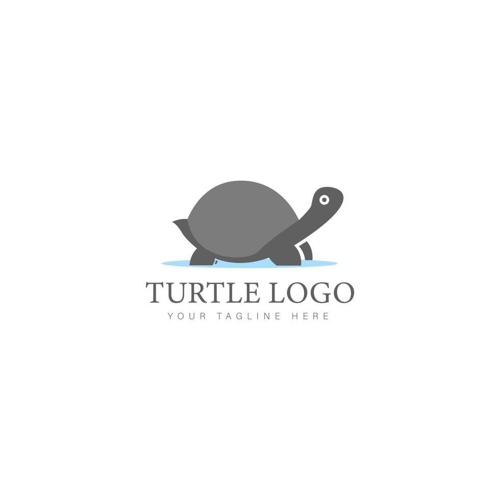 Turtle logo design icon illustration vector