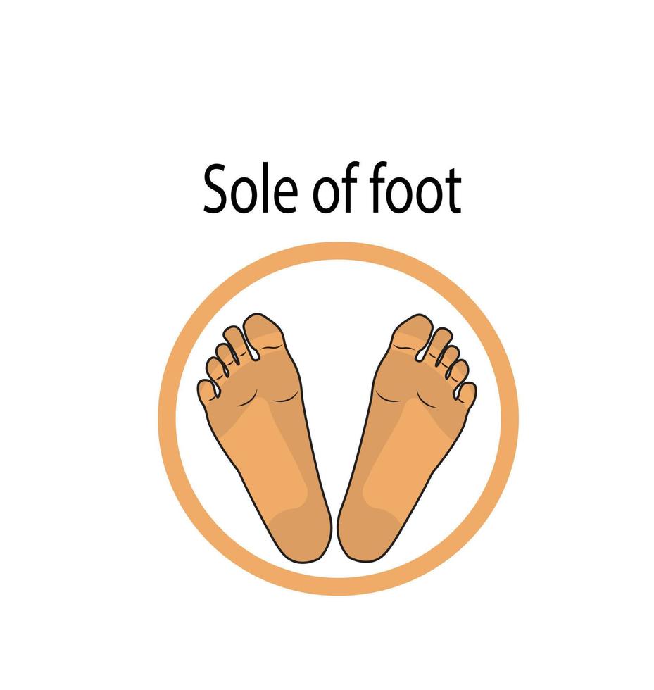 Sole of Foot Icon Illustration vector