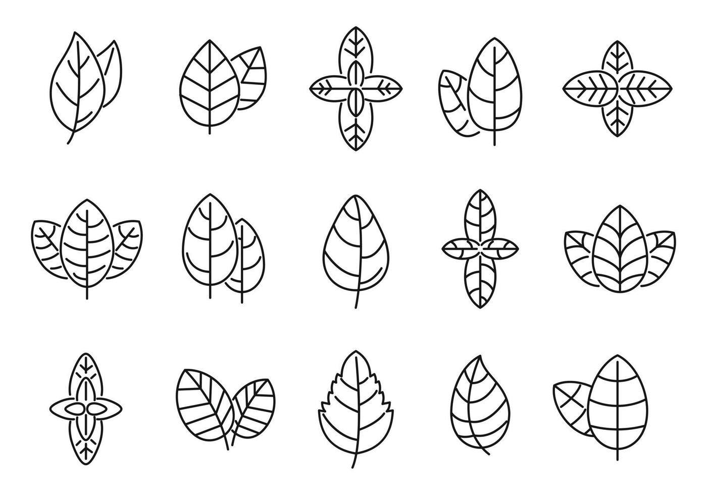 conjunto de iconos de albahaca agrícola vector de contorno. hoja aromática