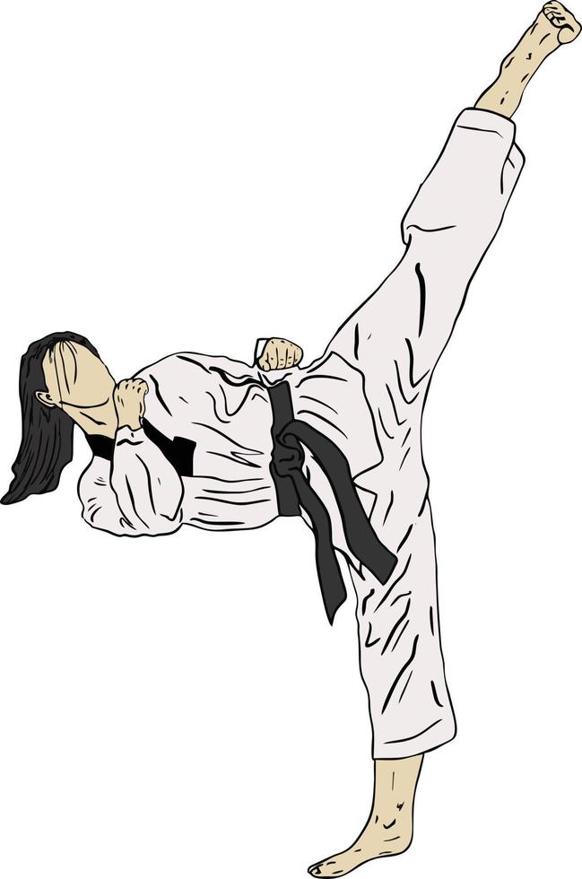 vector de patada de taekwondo
