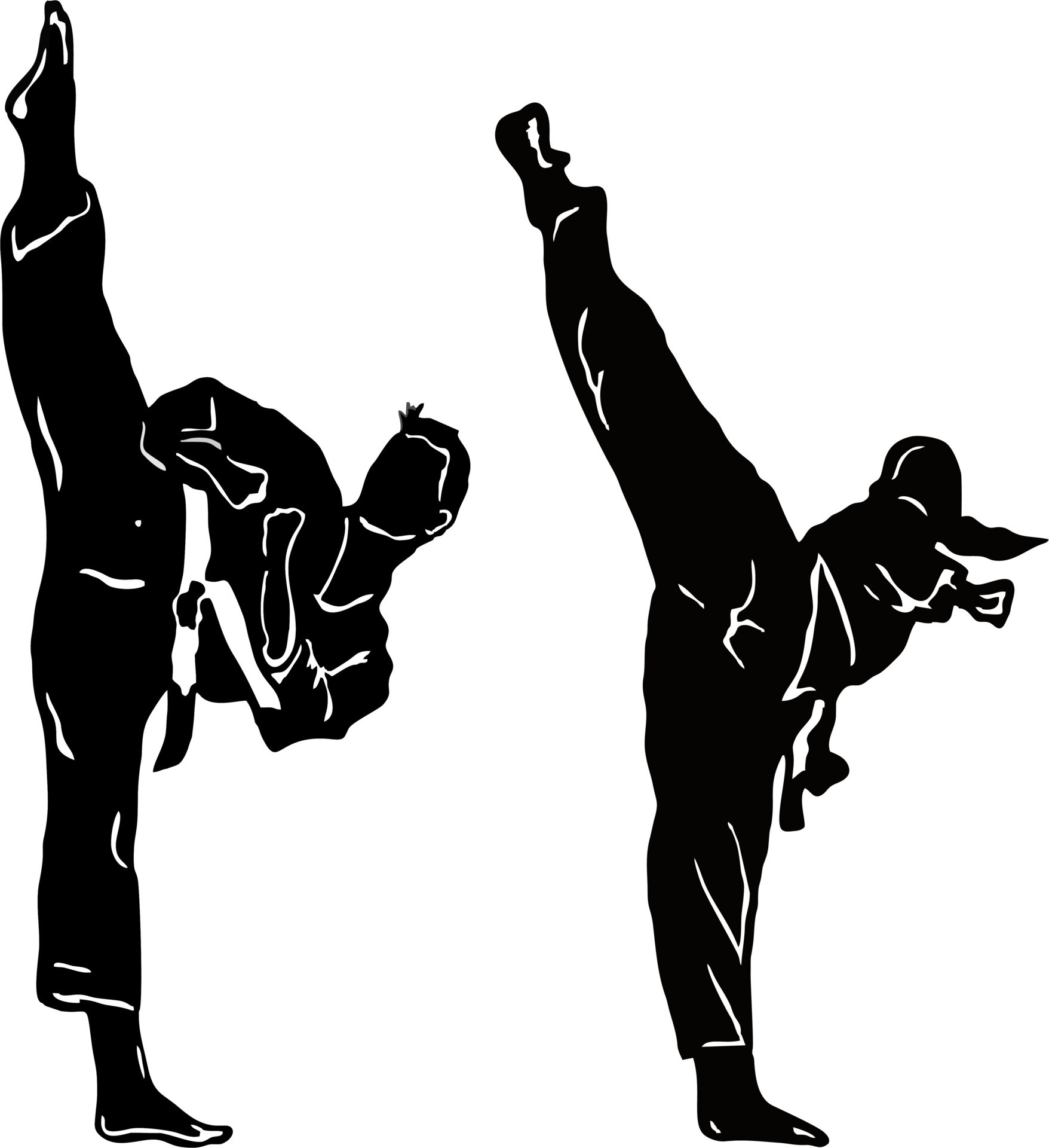 Chia sẻ 111 hình về hình nền taekwondo đẹp mới nhất 2023  ieduneteduvn