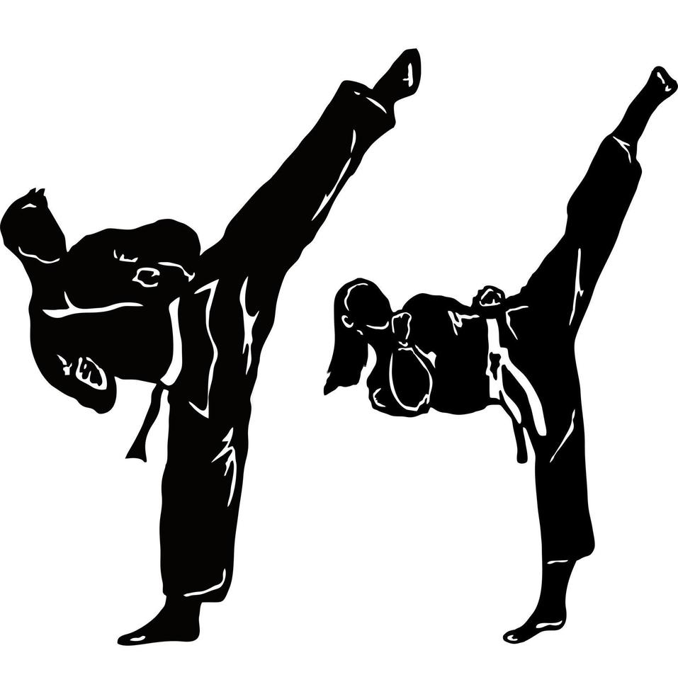 taekwondo kick vector illustration