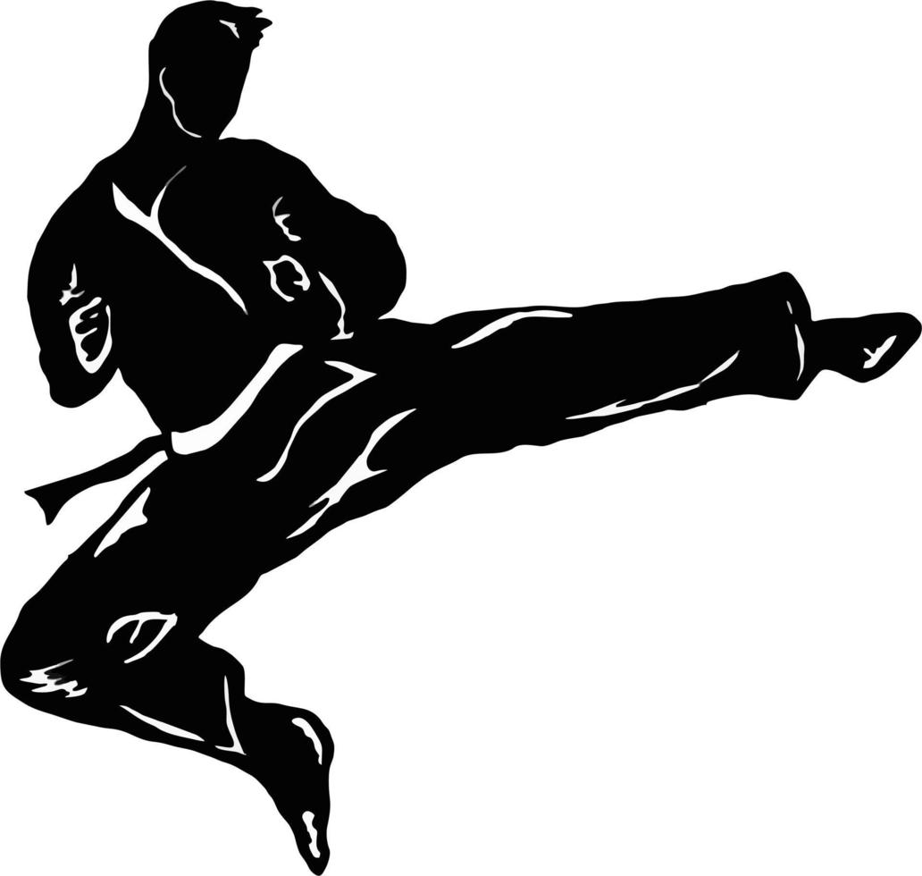 Vector karate taekwondo kick