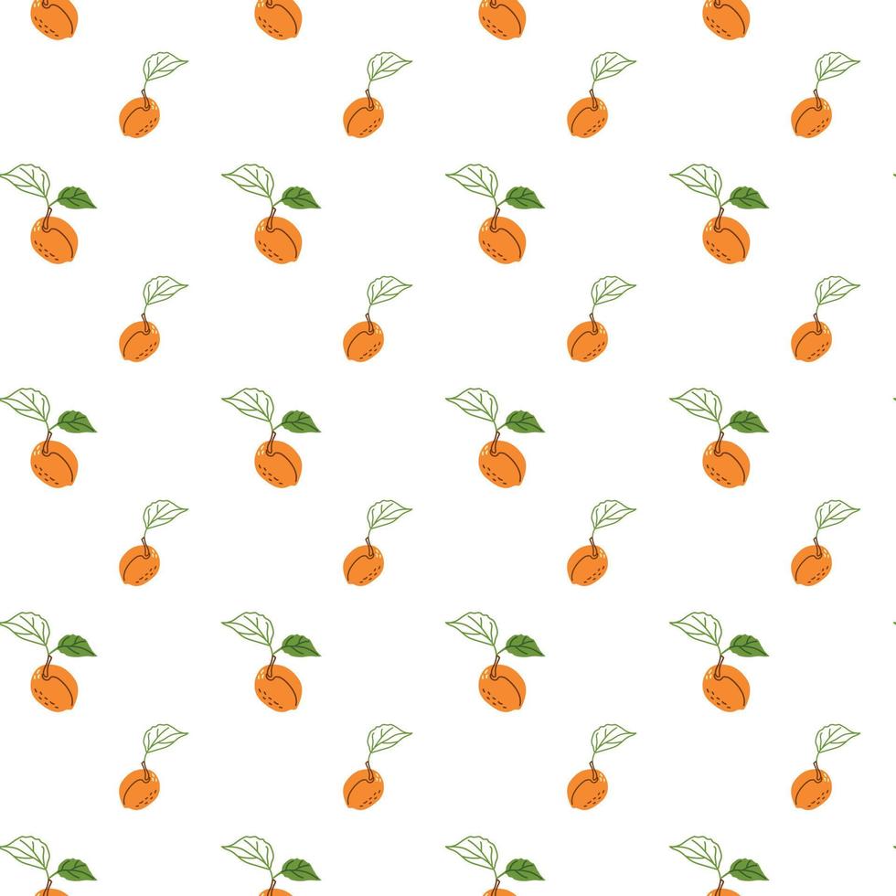 Juicy apricot fruit pattern vector