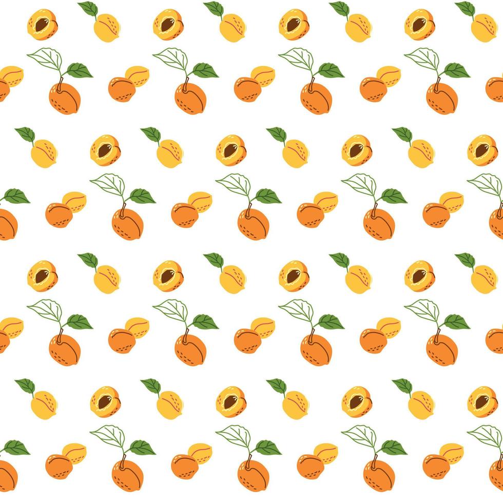Summer seamless pattern of whole and slices of apricot vector