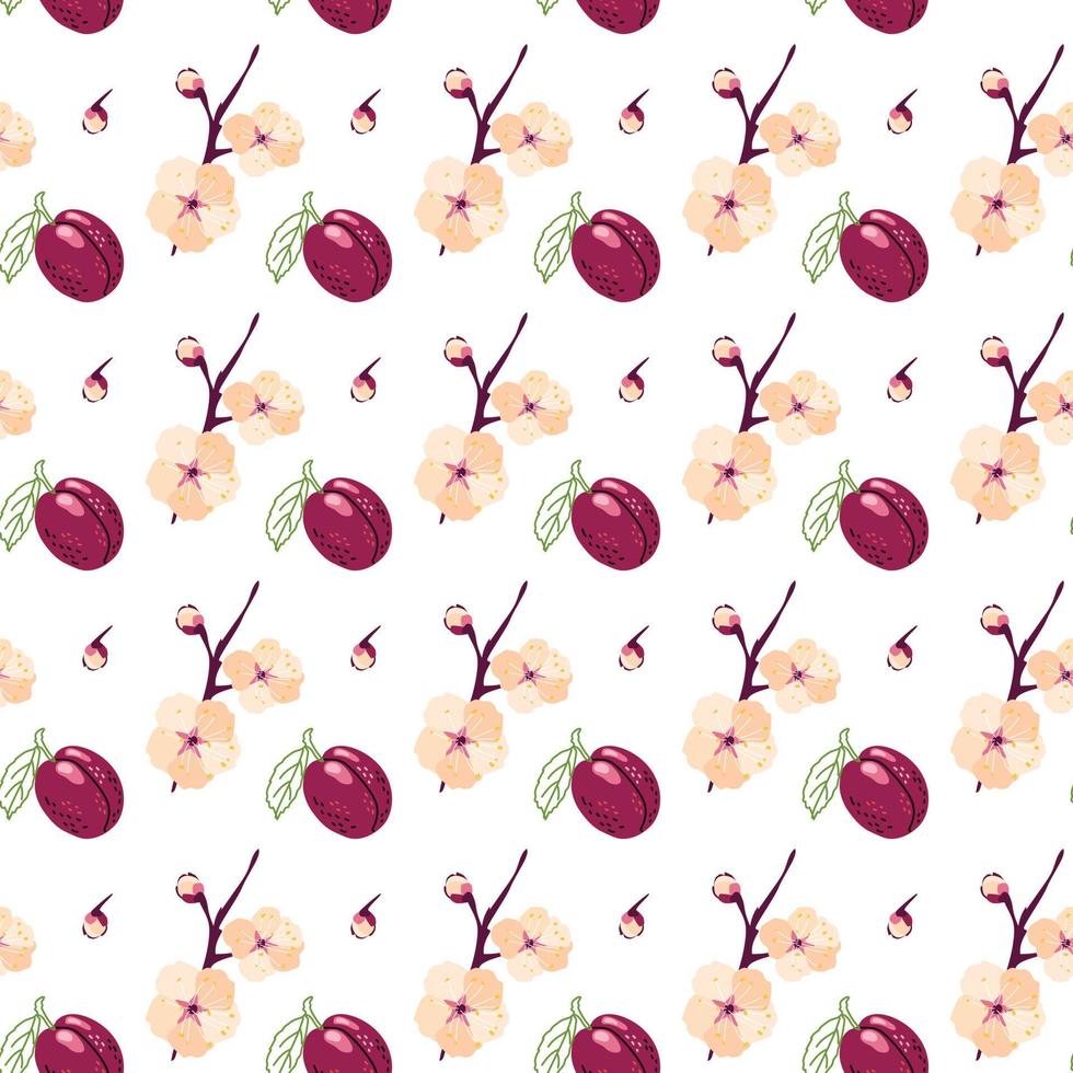 Summer pattern of plum fruits and flowers vector