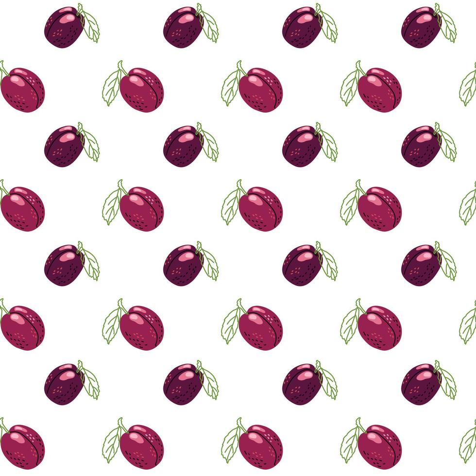 Fruit pattern of red plum vector