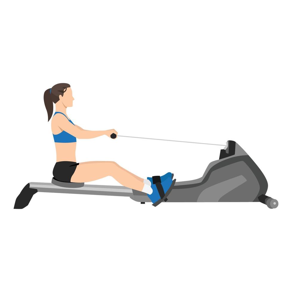 Woman doing cardio. Rowing machine flat vector illustration isolated on white background