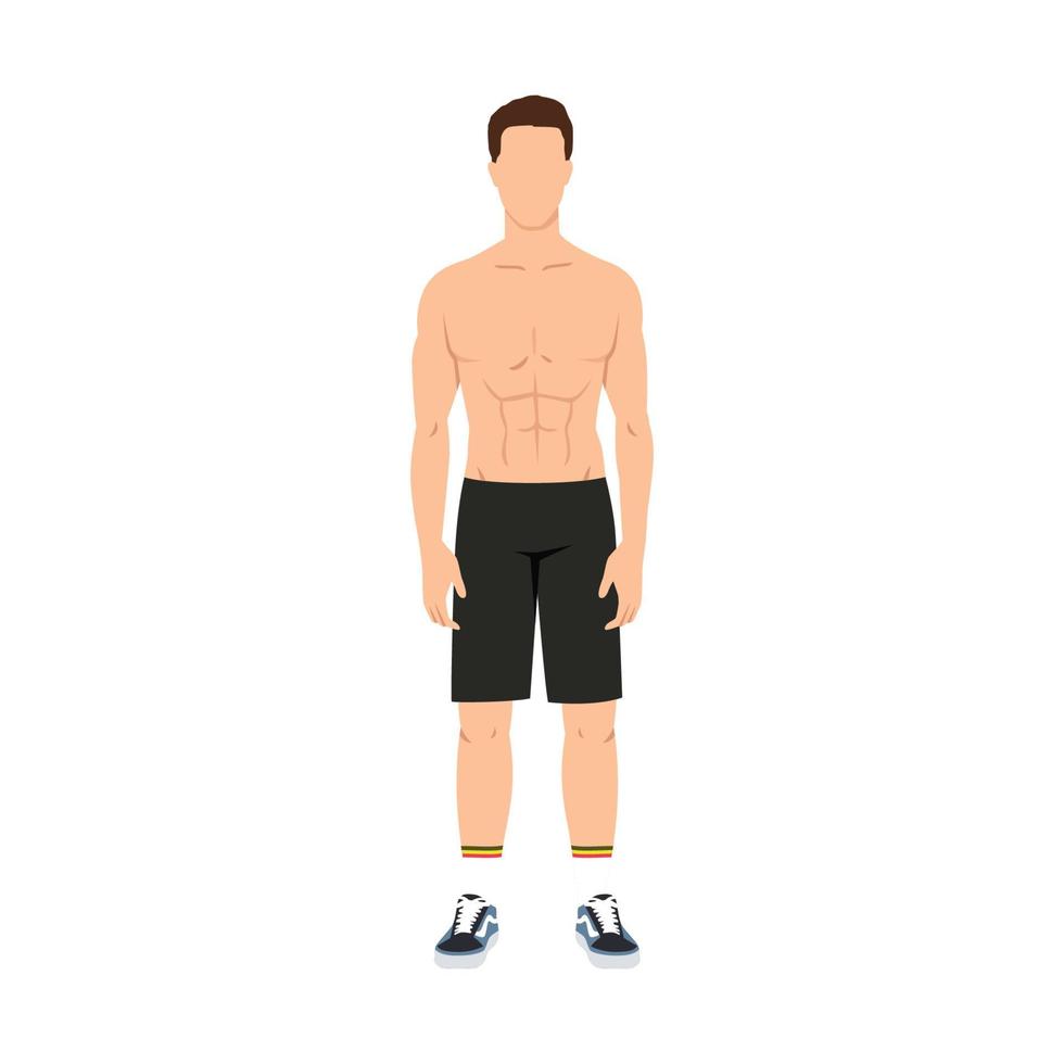 Fitness Model. Trainer. The man standing working out. Athletic man. Fitness muscular body isolated on white background flat vector illustration. Power athletic man