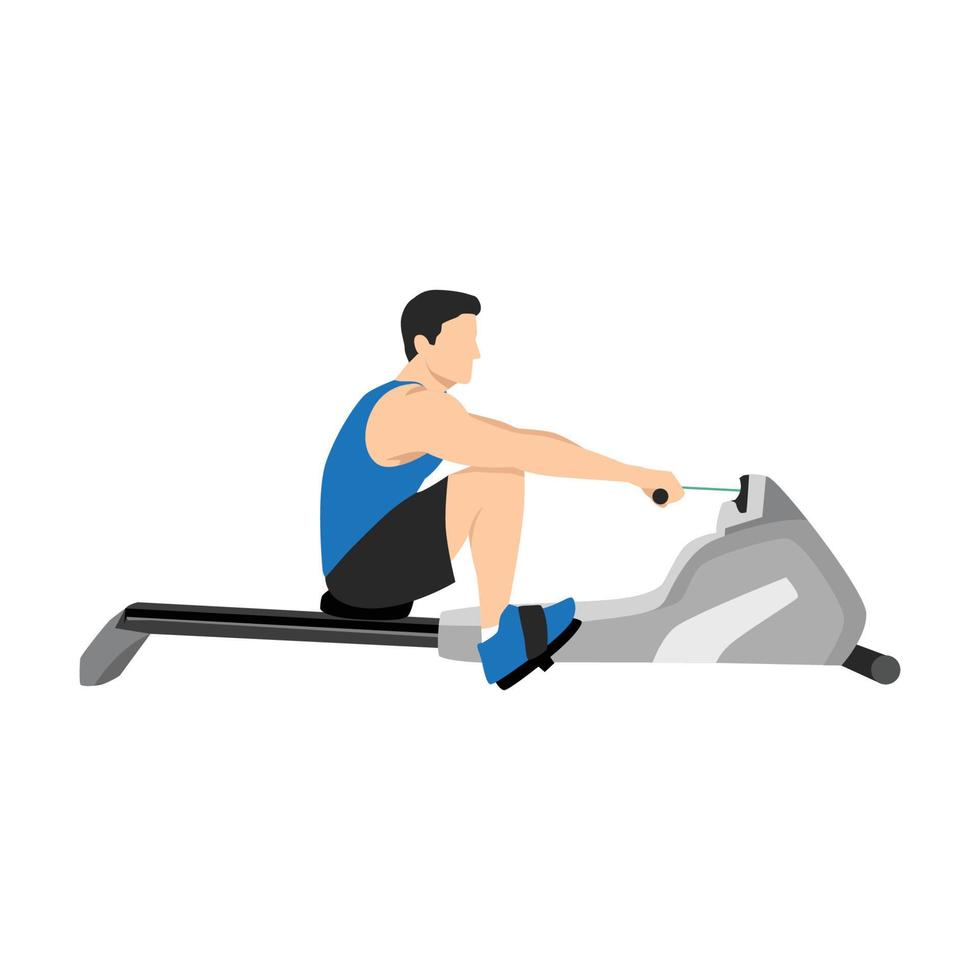 Man doing cardio. Rowing machine flat vector illustration isolated on white background