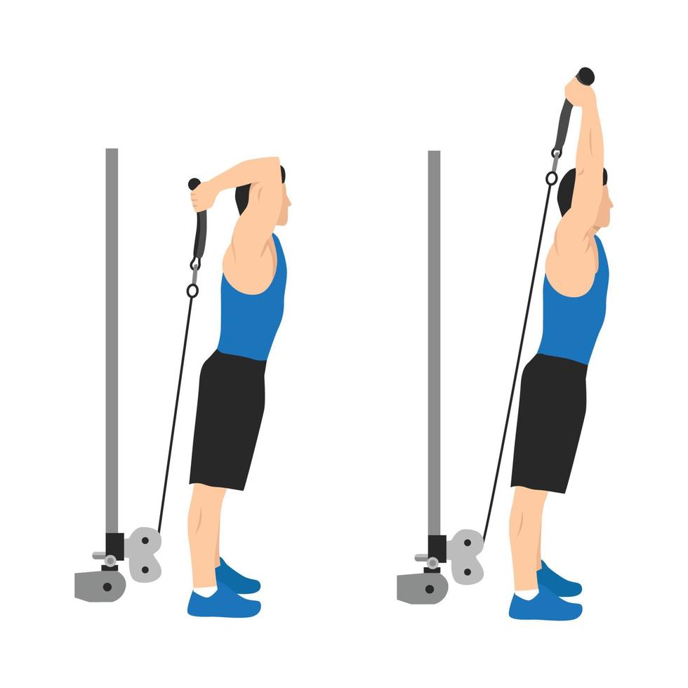 Man doing cable rope overhead triceps extensions flat vector illustration isolated on white background 8631510 Vector Art at Vecteezy