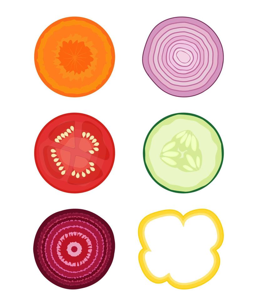 Round vegetable slices vector set. Carrot, onion, tomatoe, cucumber, beet and bell pepper.
