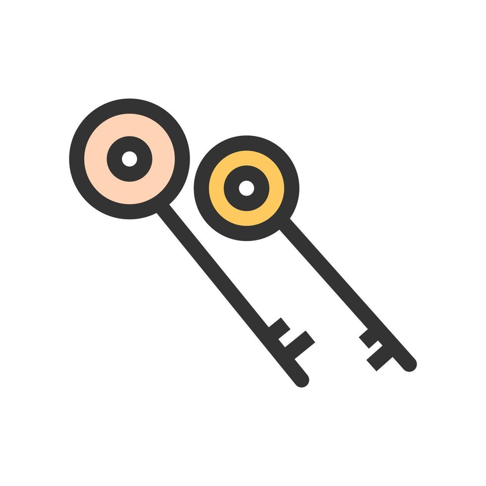 Two Keys Filled Line Icon vector