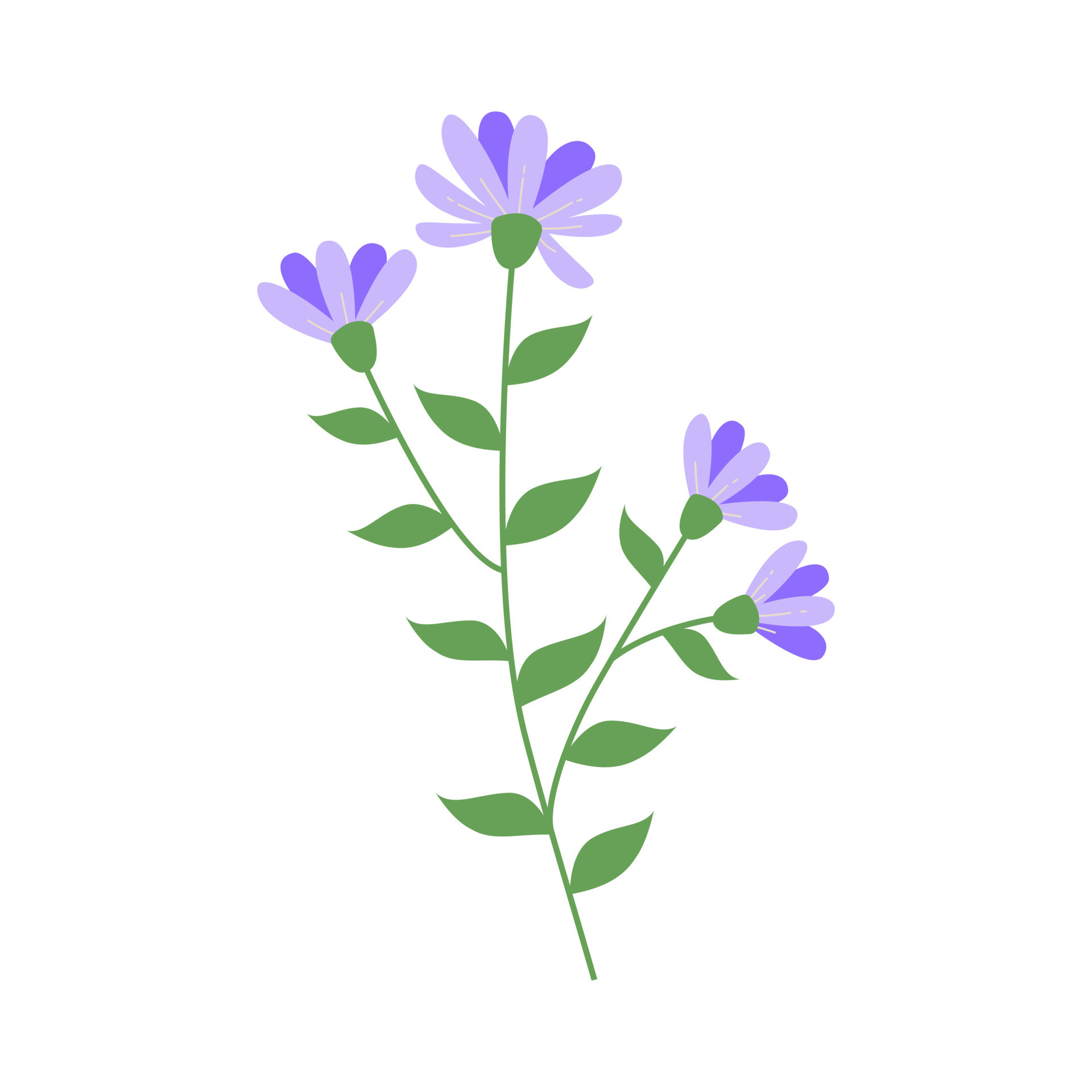 Blue flower isolated on white background. 8633377 Vector Art at Vecteezy