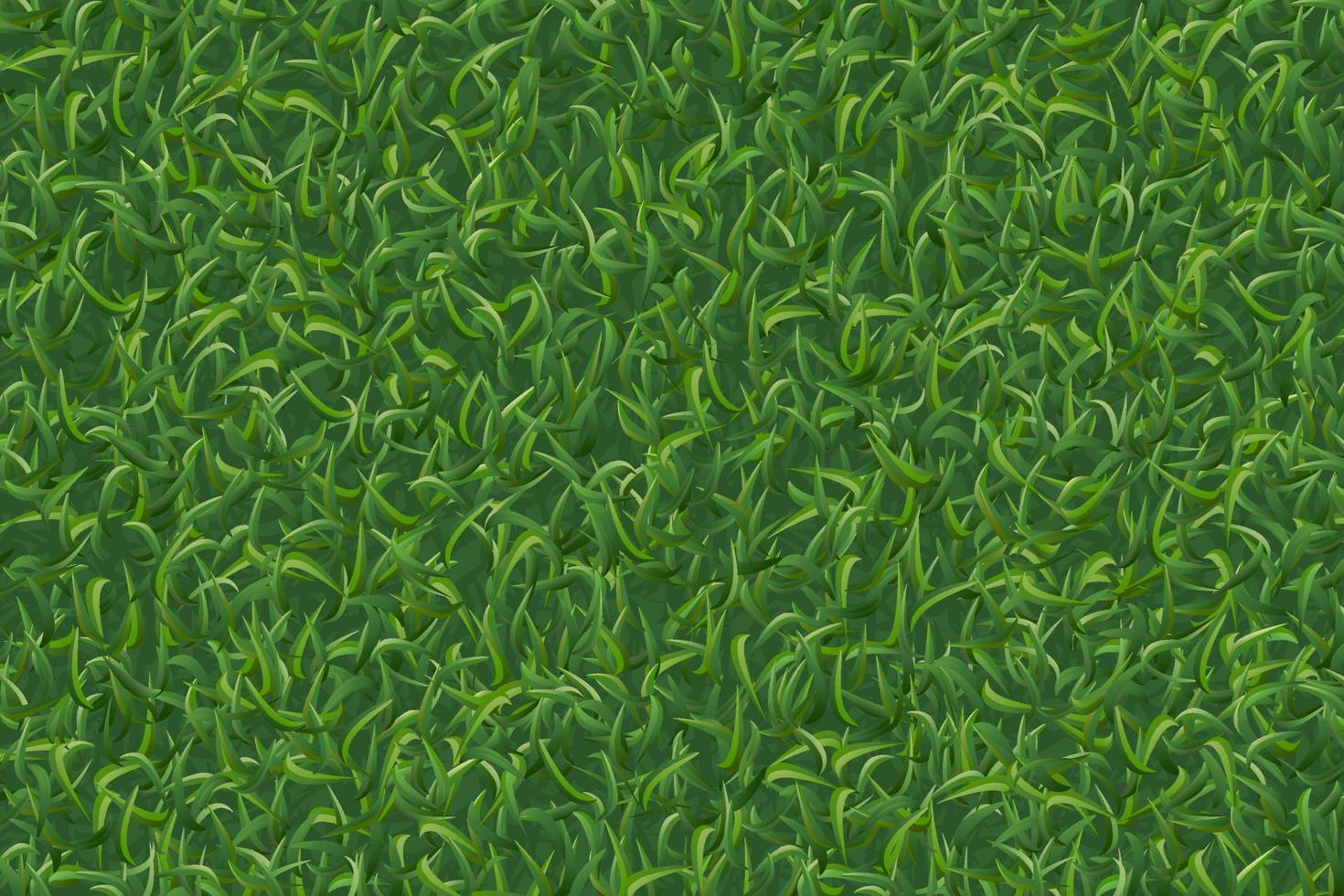 Lawn grass pattern and texture for background. Vector. vector