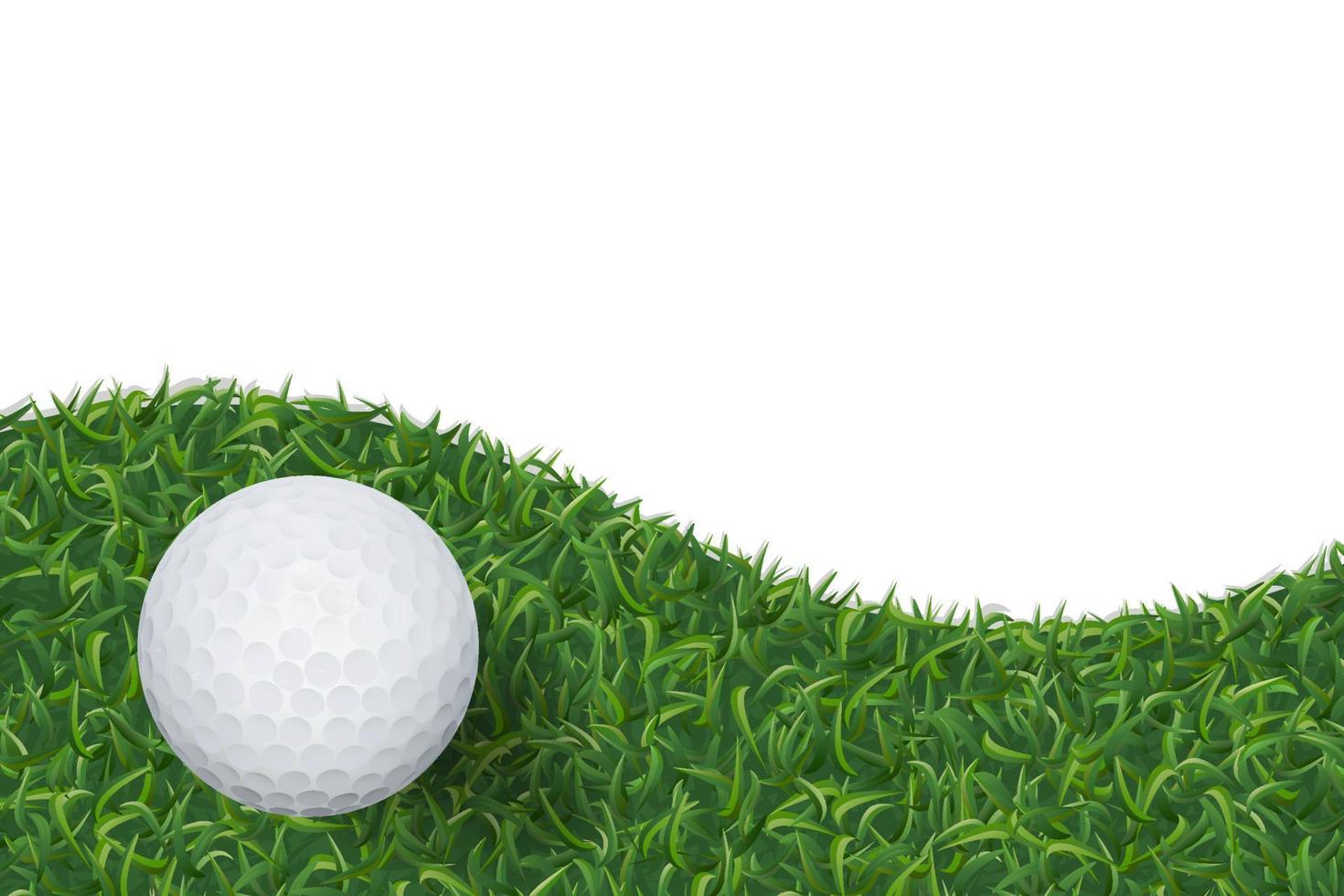 Golf ball on green grass texture background. Vector. vector